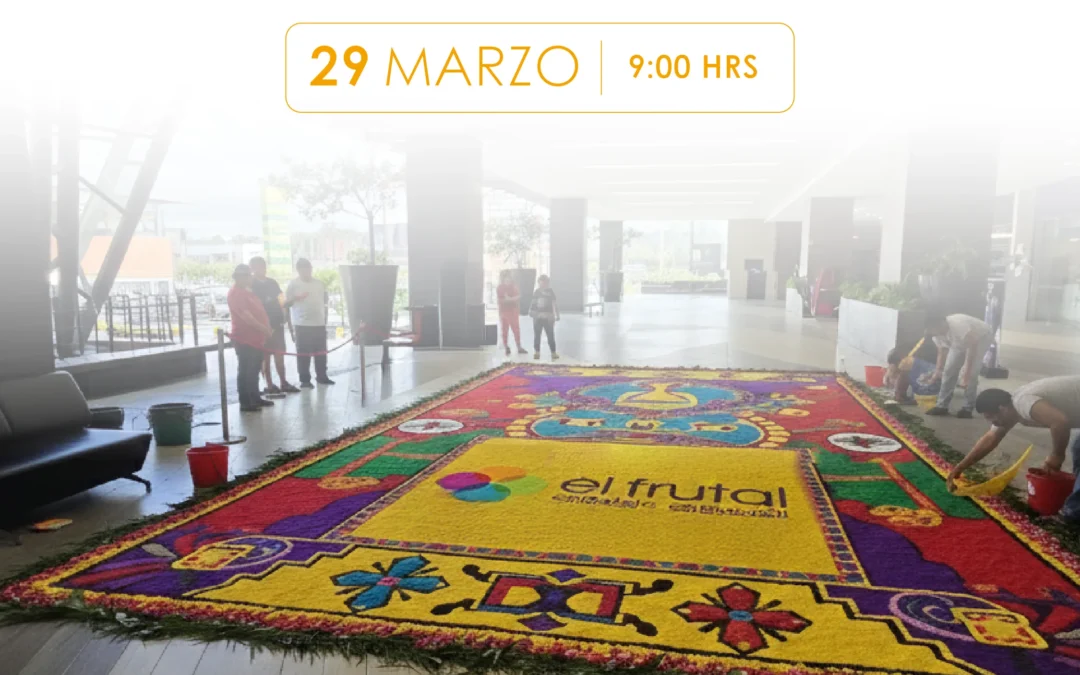 Elaboración de Alfombra y Misa