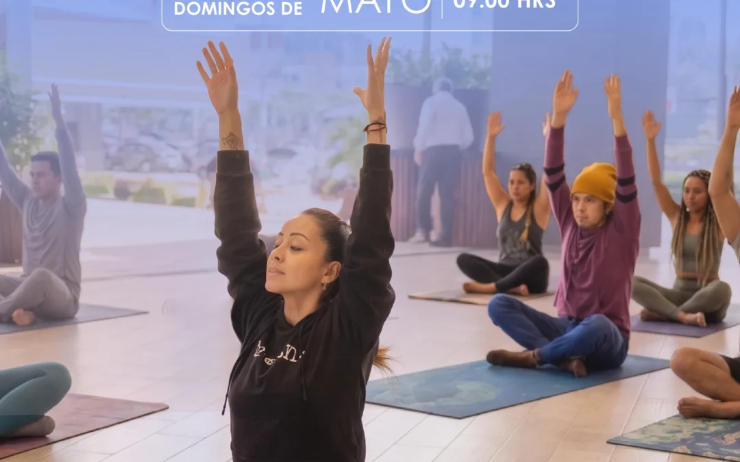Domingos de Yoga