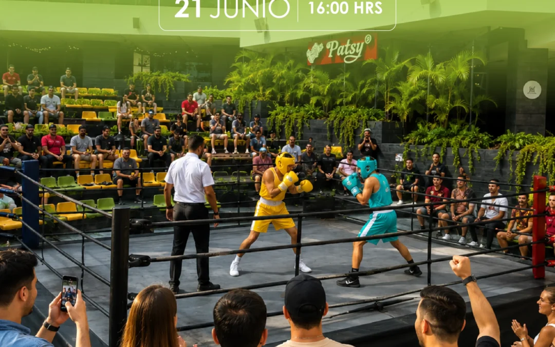 Tarde de Box para Papá